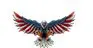 USA Eagle