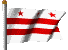 DC-Flag waving