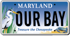 MD-Our Bay Tag
