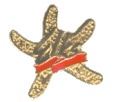 Starfish