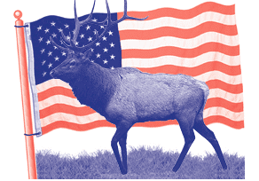Elks Stand with US Flag